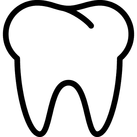 Top Picks for Dental Professionals